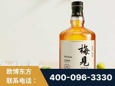 庆阳-梅见青梅酒